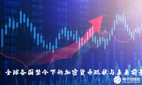 : 全球各国禁令下的加密货币现状与未来前景