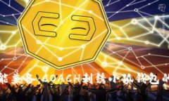 时尚与功能兼备：COACH刺绣