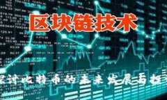 深入探讨比特币的未来发