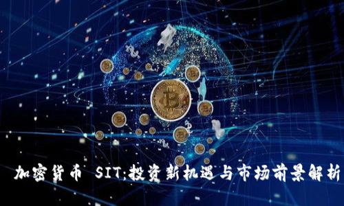  加密货币 SIT：投资新机遇与市场前景解析