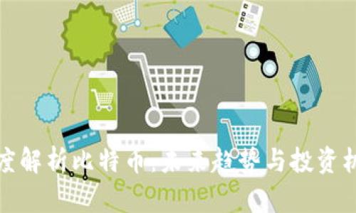 深度解析比特币：未来趋势与投资机会