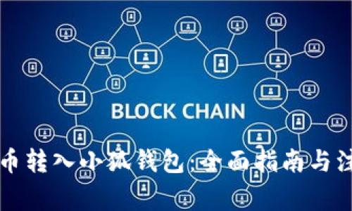 中本聪币转入小狐钱包：全面指南与注意事项