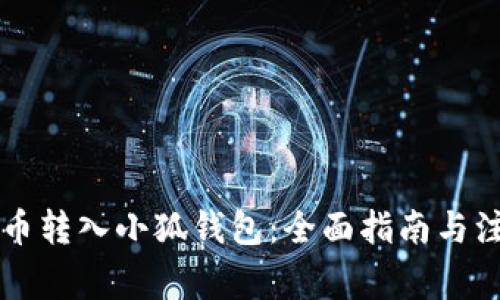 中本聪币转入小狐钱包：全面指南与注意事项