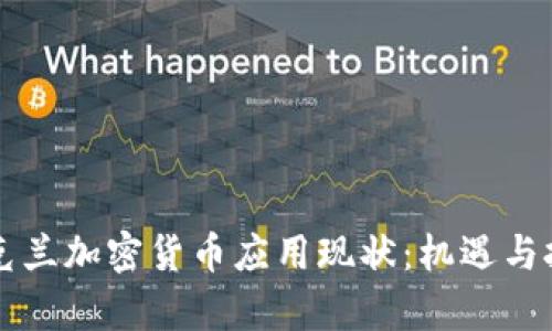 乌克兰加密货币应用现状：机遇与挑战