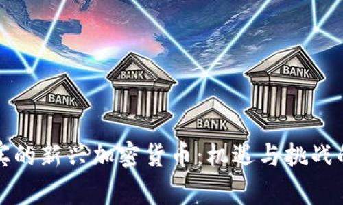 菲律宾的新兴加密货币：机遇与挑战的结合